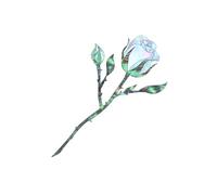 Pegatinas para guitarras, pegatinas para guitarras, placas de cabeza, pegatinas para guitarras, cejillas, guitarras, placas de cabeza, pegatinas incrustadas