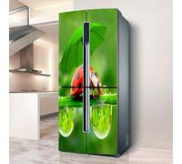 Pegatinas para nevera, Adhesivo for nevera, cubierta completa for puerta, decoración de cubiertas frigorífico, pegatinas pared for calcomanía cocina, mariquitas con paraguas verde(L: 100x180 cm)