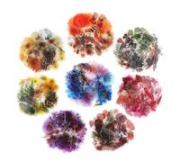Pegatinas para Scrapbooking NOGAMOGA 320 Piezas Pegatinas de Plantas y Flores Tamaño Pequeño PET Decorativas Transparentes Sticker Pegatinas Botánicas para Bullet Journal Álbum Arte de Resina