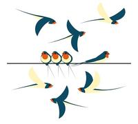 Pegatinas para ventana - 6 adhesivos electrostáticos decorativos con diseño de golondrinas - para evitar que los pájaros se golpeen en sus ventanas