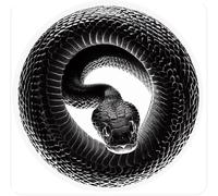 Pegatinas retro reflectantes para casco de moto serpiente serpiente