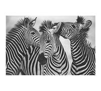 Pei-wall art Cuadro de cebra en blanco y negro, decoración dulce para el hogar, pintura en lienzo, arte de pared, impresión, póster de animal encantador para dormitorio