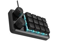 PEILINZE Teclado para juegos de 12 teclas, teclados mecánicos programables de 12 teclas con dos perillas y cable de iluminación RGB tipo C