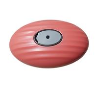 Peine de aseo para gatos, cepillo desenredante de perro antipérdida extraíble - Cepillo suave para limpieza en el baño en casa, limpieza interior pequeño animal