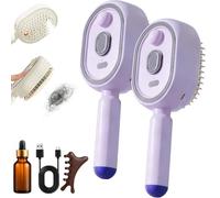 Peine de masaje eléctrico con cojín de aire, cepillo de vapor eléctrico para cabello, cepillo recargable para desenredar el cabello con spray de aceite esencial, para reducir el encrespamiento, nutre