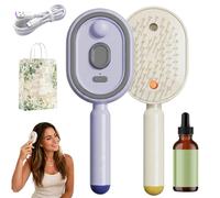Peine de masaje eléctrico con cojín de aire, cepillo de vapor eléctrico para cabello con spray de agua, cepillo de masaje recargable para el cuidado del cabello húmedo y seco (2 unidades-B)