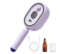 Peine Eléctrico Masajeador con Spray y Cojín de Aire | Peine Portátil Recargable de Luz | Cepillo de Vapor Inalámbrico Desenredante Antiencrespamiento | para Mujer Cuidado del Cuero Cabelludo y