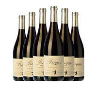 Peique Ramón Valle Mencía Bierzo Joven 75 cl Vino tinto (Caja de 6 Botellas de 75 cl)