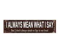 peiyeety Letrero metálico divertido Lo digo en serio - Arte de pared rústico con humor de 40 x 10 cm - Placa decorativa única para el hogar con frases - Letrero de hojalata vintage para regalos