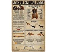 peiyeety Letreros metálicos con información sobre el bóxer, infografías sobre el bóxer, pósteres retro, enciclopedia canina, placas guía, decoración de pared para oficina, aula y hogar (20 x 30 cm).