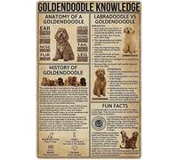 peiyeety Letreros metálicos con información sobre Goldendoodle, infografías sobre Goldendoodle, pósteres retro, placa de hojalata para decoración de patio y jardín, 8" x 12".