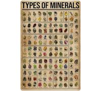peiyeety Letreros metálicos de hojalata con información sobre minerales, póster retro, infografías educativas, placas de pared, decoración para el hogar, aula, oficina, 30 x 40 cm