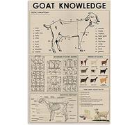 peiyeety Letreros metálicos decorativos sobre la anatomía de las cabras, infografías, carteles, guía de referencia para pastores, placas para granjas y hogares, 8" x 12"