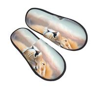 peiyeety Pantuflas con estampado de gato que se mira en el espejo para mujer, zapatos de casa con suela afelpada, pantuflas para interior y exterior