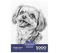 Pekín Puzzle 1000 Piezas, Clásicos Rompecabezas De Bricolaje, Hobby Creativo, Puzzles Gift, para Adultos Y Niños A Partir De 12 Años 70x50cm/1000pcs
