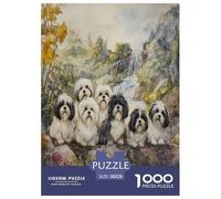 Pekín Puzzle Imposible,desafío for Adults Juego EduGatoivo 1000 Piezas Obra De Arte De Juego De para Adultos Y Niños Mayores De 12 Años 38x26cm/1000pcs