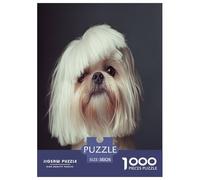 Pekín Puzzles Imposible,desafío para Adultos Entretenimiento Creativo 1000 Piezas Obra De Arte De Juego De para Adultos Y Niños 38x26cm/1000pcs