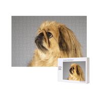 Pekinés Perros Peludos Perros Lindos Mascotas Perros,Rompecabezas de Madera de 300 Piezas, Juego Familiar, Rompecabezas para Adultos, Adolescentes, decoración del hogar