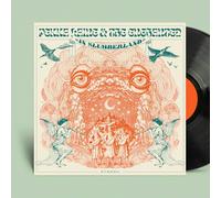 Pekka Laine - Pekka Laine - Pekka Laine And The Enchanted in Slumberland [Vinilo]