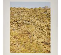 Pekler, Andrew & Ielasi, Giuseppe - Palimpsests [Vinilo]