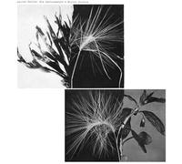 Pekler, Andrew - New Environments & Rhythm Studies [Vinilo]