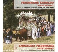 Pelerinage Andalou : Rocio Grande - Flamenco Et Sons Naturels Dans Les Marismas