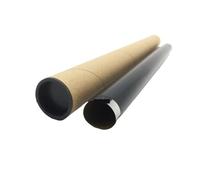 Película fusor Compatible con Canon ImageRUNNER IR2016 IR2318 IR2420L IR2520 IR2520i IR2525 IR2525i IR2530 IR2530i G51