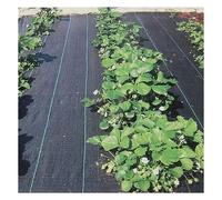 Película plástica perforada para plantas, estera de control de malezas para inve, tela antihierbas para huertos, tela antihierbas, película plástica negra de 0,5 a 4 m de ancho (ancho 0,8 m)