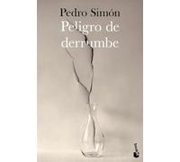Peligro de derrumbe (Novela)