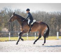 pelo Bareback pad super soft QHP - Negro / 1