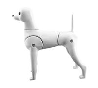Pelo sintético para el cuidado del perro, modelo esquelético de cuerpo completo para estilismo profesional y ejercicios de teñido en escuelas de belleza, accesorio de entrenamiento para mascotas