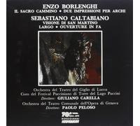 Peloso - Il Sacro Cammino-Visione Di S. Mart