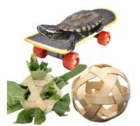 Pelota de alimentación de tortuga, soporte para frutas y verduras con patineta de entrenamiento, juguetes de enriquecimiento de tortugas, 2 bolas de golosinas para animales pequeños
