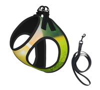 Pelota de Golf Verde con Estampado de Atardecer,Arnés para Mascotas, arnés Reflectante Ajustable para Perros,S