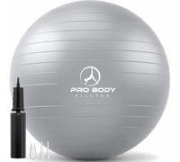 Pelota para ejercicio - Pelota de calidad profesional antirasgaduras para yoga o fitness, pilates, terapia física y entrenamiento de estabilidad, 65 cm, Plateado