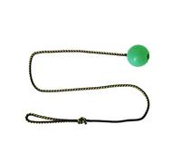 Dingo Pelota para Perros con Textura - Rellena de Goma, con Cuerda de 100 cm de Longitud para Deportes caninos, Agilidad, Juego de Tira y afloja - Tamaño pequeño - Color Aleatorio (17321-2)