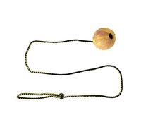 Pelota para Perro Dingo Nubby - Totalmente rellena de Goma, con Cuerda de 100 cm - Ideal para lanzar, Deportes caninos, Agilidad, Tira y afloja y Juego - Tamano Grande - Color Aleatorio (17319-2)