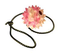 Pelota para Perro Dingo Spiky - Totalmente rellena de Goma, con Cuerda de 60 cm - Ideal para lanzar, Deportes caninos, Agilidad y Juego - Tamano Grande - Color Aleatorio (17323-2)