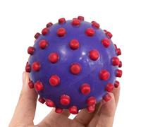 Pelota sensorial táctil - Juego portátil de estimulación táctil relajante para prensar, pelota de despertar sentido, para , aulas, oficina, escuela, niño y niña