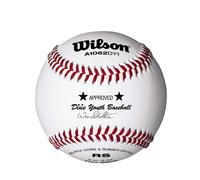 Pelotas de b isbol juveniles Wilson A1062 League Series Dixie, 1 docena