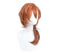Peluca Anime Cosplay Bungou Stray Dogs Cosplay Chuuya Nakahara Peluca Corta Degradado Marrón 55 cm Largo Pelo Rizado Resistente al Calor Halloween Anime Juego de Rol (NEVSTPFW)