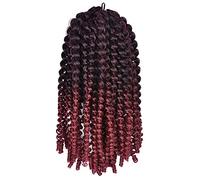 Peluca Corta Y Rizada Trenza Trenzas De Ganchillo Extensiones De Cabello Sintético Clip Rizado Para Mujeres Negras 8-12 Pulgadas 1 Pieza Pelucas Grises Para Mujeres (9 8 Pulgadas)