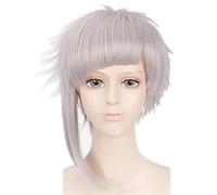 Peluca de flequillo esponjoso corto ligero gris 35 cm Bungo perros callejeros Nakajima Atsushi Cosplay peluca