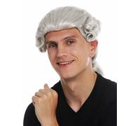 Peluca Hombres Alta Calidad Histórico Barroco Noble Gris Claro