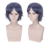 Peluca para accesorios a juego, modelado de rendimiento del príncipe del tenis, emperador de hielo, departamento de reliquias, Jing Wu, gris, morado, punto medio, Liu Hai, peluca de pelo corto