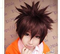 Peluca para carnaval, vida nocturna, club, fiesta, peluca Cos Wig Sawada Tsunayoshi cierra la cara volando hacia el cielo, peluca gruesa de anime marrón y rojo