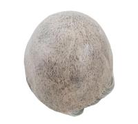 Peluca para hombre, 0,12 - 0,14 mm, pelo de hombre, pelo de pelo humano #1B80, sistema de cabello (8 x 10)