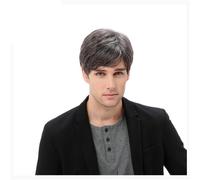 Peluca para Hombre, Peluca Corta Sintética Natural Recta Completa para Uso Diario Pelucas de Fiesta para Hombre 12 Pulgadas,Gris