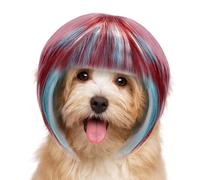 Peluca para perro, peluca colorida, disfraz de gato, gorro de animales transpirable con correa flexible para personajes, cosplay, escenario, desfile, espectáculo festivo, Halloween