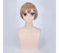 Pelucas de fiesta de Halloween Anime Re: La vida en un mundo diferente de cero Felix Argyle Peluca de cosplay Lino corto Pelucas de cabello sintético Peluca de talla única 2